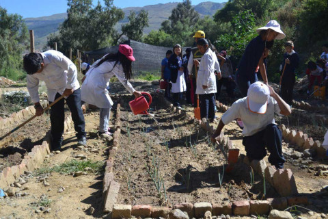 Community-led response to water pollution crisis / Cochabamba, Bolivia