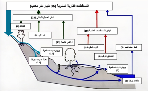 سياسات البنك العالمي في مجالي الماء والصرف الصحّي بتونس | Transnational  Institute