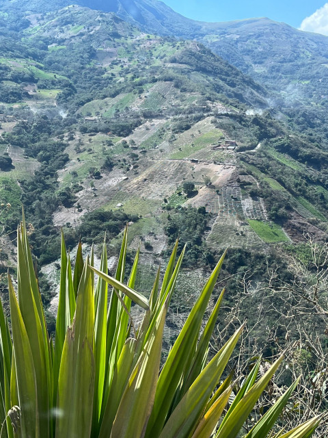 Yungas Bolivia