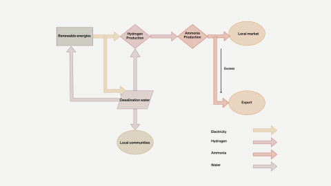 Figure 4: A national project to produce ‘green’ ammonia through a public–public partnership involving local communitie