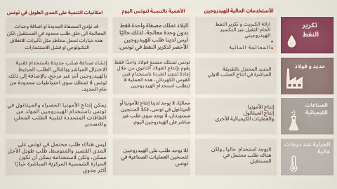 جدول 3 :  امكانيات استعمال مشتقات الهيدروجين الأخضر في تونس