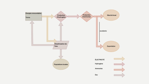 Figure 4 : Un projet national visant à produire de l'ammoniac « vert » grâce à un partenariat public-public impliquant les communautés locales