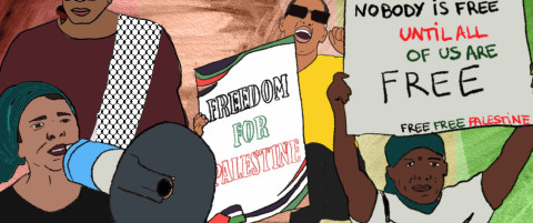 African Solidarity: grassroots and institutional support for Gaza/Palestine