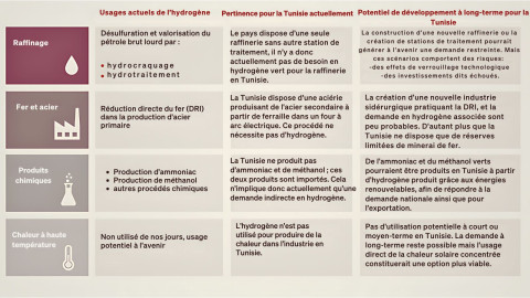 Figure 3 : Usages potentiels des dérivés de l’hydrogène verts en Tunisie