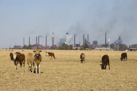 Farm land bordering industrial area