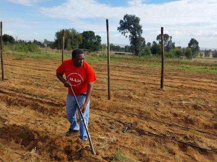 Matthews Hlabane working at the SAGRC farm in eMalahleni.