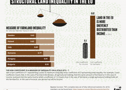 Structural land inequality in the EU Structural land inequality in the EU