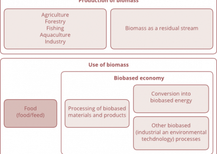 Overarching vision on the bio-economy needed' - Agro & Chemistry